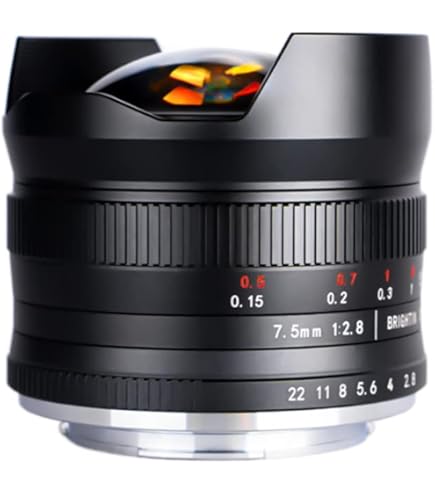 Amazon.com : PANASONIC LUMIX G FISHEYE Lens, 8MM, F3.5