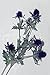 Artificial Purple Scottish Sea Holly Thistles, Purple Thistles