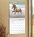 Muhammad Ali 2018 Calendar