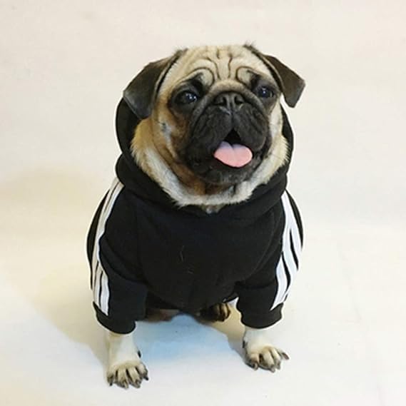 weilinchn Herbst Winter Pet Hund Kleidung Baumwolle Puppy Hund Kleidung für Hunde Hoodie XS-2 X L Pets Coats Pets Produkte