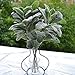 APHER 5 PCS Artificial Flocked Lamb's Ear Leaf Fake Greenery for Wedding Home DIY Decor