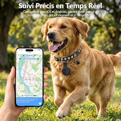 Traceur GPS Chat, Collier GPS Chat Chien sans Abonnement/Carte SIM, Compatible iOS et Android, Intelligent de La Localisation en Temps, Étanchéité IPX6, Collier GPS pour Chien,Chats,Voitures - Noir