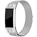 For Fitbit Charge 2 Bands, Stainless Steel Milanese Loop Metal Charge 2 Bands Replacement Accessories with Unique Magnet Lock, Small, Large