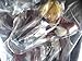 Alchemist Banpresto made not for sale of lottery prize A Edward Elric figure most steel (japan import)