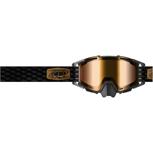 Amazon.com : 509 Sinister X7 Snow Goggle (Black Gum