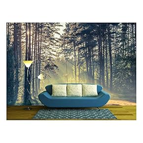 Evening Forest with Sun and Volume Light - Removable Wall Mural | Self-Adhesive Large Wallpaper - 66x96 inches