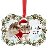 Winter White Dwarf Hamster Christmas Ornament 2024