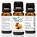 BioFinest Mango Fragrance Oil - 100% Pure & Natural - Fresh Home Scent - Air Refresher - Relaxing Aromatherapy -Mango Fruity Scent - FREE E-Book (10ml)