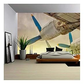 Old Wing Aircraft with Propellers at Sunset - Removable Wall Mural | Self-Adhesive Large Wallpaper - 66x96 inches