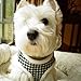 Fleece Soft Pet Harness Vest for Small/Medium Pets,Size Runs Smaller, Small fits Pets 3-6 Pound,Medium 8-12 Pound,Large 12-16 Pound (Large: Neck 14