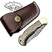 Walnut Wood 6.5'' Custom Handmade Damascus Steel Brass Bloster Back Lock Folding Pocket Knife 100% Prime Quality With Sharpening Rod Plus Real Buffalo Horn Stainless Steel Pocket Knive 