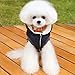 SELMAI Fleece Dog Hoodie Winter Coat for Small Boy Dog Cat Puppy Cotton Hooded Jacket Chihuahua Clothes Blue S