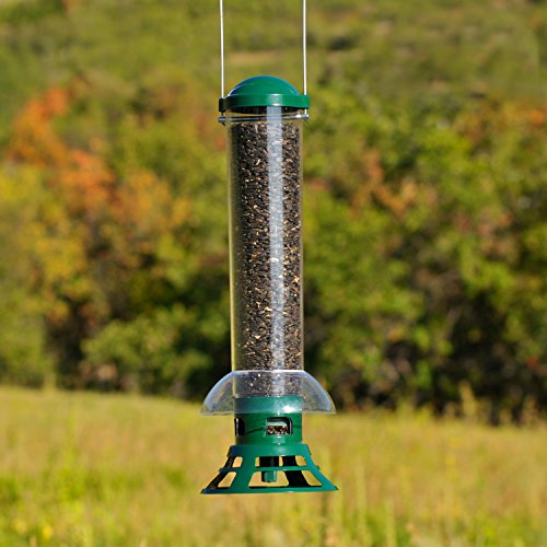 Perky-Pet 5141-2 Squirrel Slammer Wild Bird Feeder