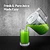 EASEHOLD 1000W Juicer Centrifugal Professional Juice Maker Machine Fruit Vegetable Extractor Whole