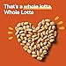 Clif Whole Lotta – Roasted Peanut Chocolate – Organic Protein Bars, Fruit & Nut & Seed Bars – Gluten Free & Vegan Snacks (1.98 Ounce Protein Bars, 12 Count)thumb 4