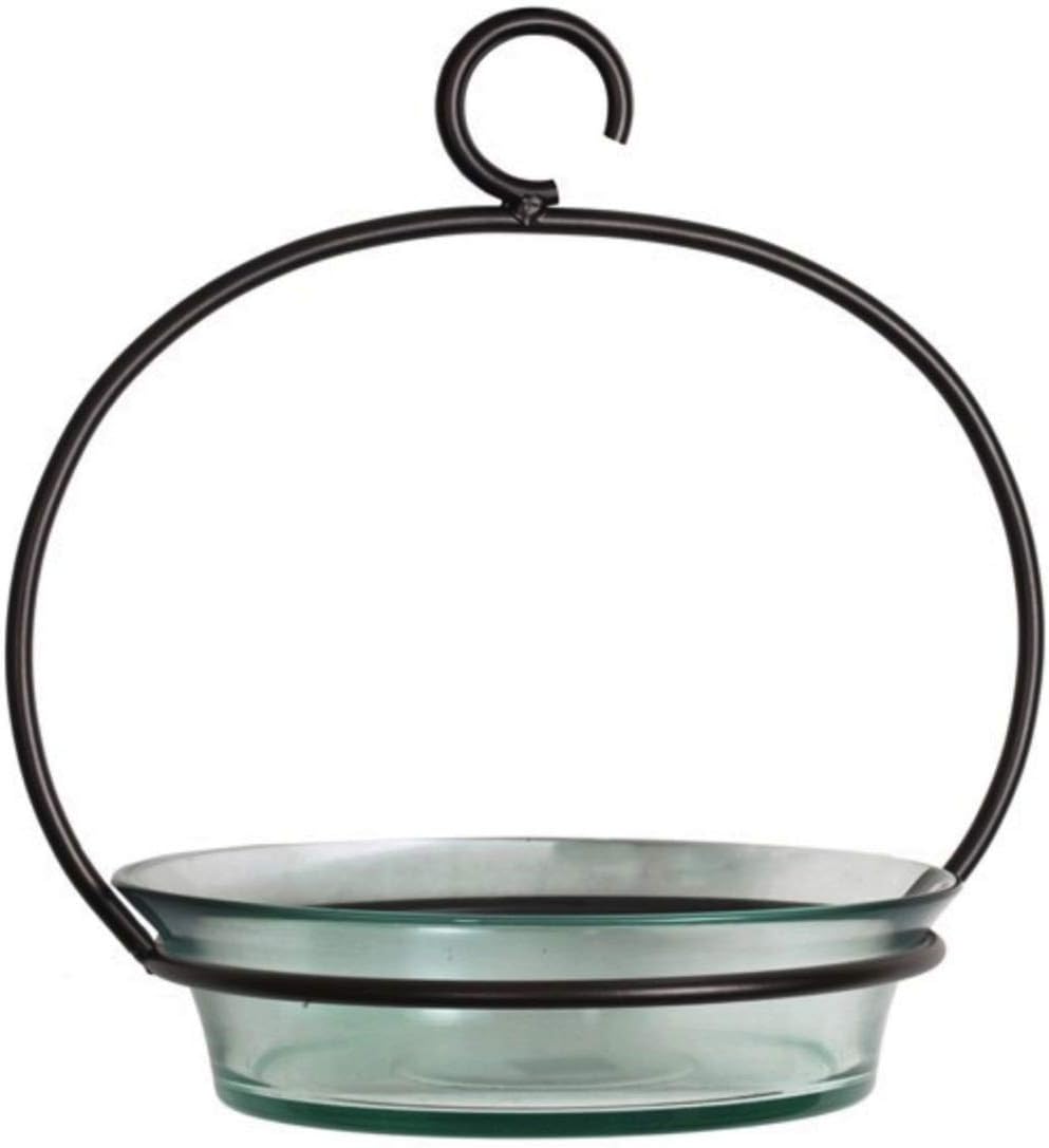 Amazon Com Glass Flat Bottom Hanging Wild Bird Baths G446vm
