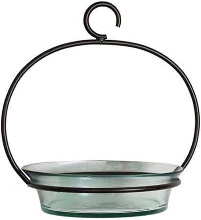 Amazon Com Glass Birdbath Birdfeeder G446vf Clear Hanging Bird