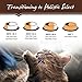 Holistic Select Natural Wet Grain Free Canned Cat Food, Turkey & Salmon Pâté Recipe, 13-Ounce Can (Pack Of 12)