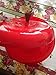 Red Salad Spinner (Small), Apple-Shaped, 3 Quart by Beautiful Life