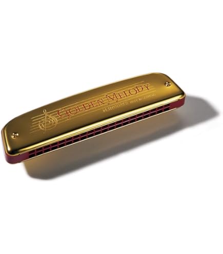 Amazon.com: Hohner 2504-C Comet 40 Harmonica, Key of C : Musical