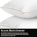 Italian Luxury Plush Gel Pillows 2100 Series (2-Pack) - Premium Quality Luxury Hotel Collection - Hypoallergenic & Dust Mite Resistant - Queen