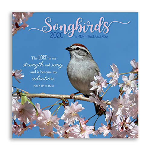 B-THERE 16 Month Premium Religious Wall Calendar 2020 Each Month Displays Full-Color Photograph. Printed on Linen Embossed Heavyweight Paper Stock (Songbirds)