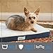 Simmons Beautyrest Thera Bed Orthopedic Memory Foam Dog Bed and Kennel / Crate Mat