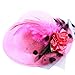 Anleolife Mini Top Hat 5pcs/lot Fascinators For Party Birthday Church Hair Clip Pets Poodles Top Hats Cat