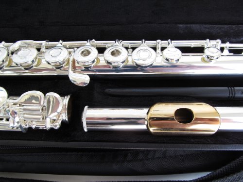 Gemeinhardt 3SHB Flute with Inline G, B Foot and Gold Lip Plate