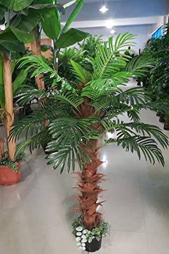 AMERIQUE 5 Feet Gorgeous & Unique Tropical Palm Tree Artificial Tree Plant with…