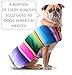 Dog Clothes - Handmade Dog Poncho - Cinco De Mayo Chihuahua Costume from Authentic Mexican Blanket (Pink, XXS)
