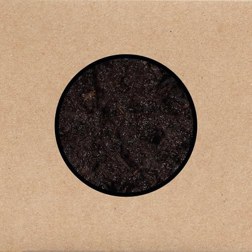Swans, Bill Rieflin, Ted Parsons, Algis Kizys, Nicky Skopelitis