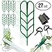 PeerBasics Indoor Plant Trellis Parent (6 Bundle)