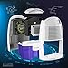 KAIKING Mini Dehumidifier, Portable Electric Auto Shut off Dehumidifiers for Damp Air Mold Moisture in Small Closet Wardrobe Kitchen (Quiet Safe Compact Thermo-electric)