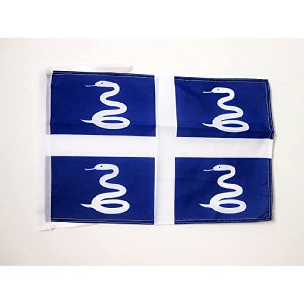 AZ FLAG - Martinique Flag - 18'' x 12'' - 100% Polyester French region of Martinique Small Banner with Two Cords - Fade Resistant - Vivid Colors - 18x12 in - 45x30 Cm โ image 1