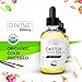 2 oz Castor Oil 100% Pure USDA Organic Cold Pressed Hexane Free - Set of 10 Brushes for Eyeliner & Eyelash - Lash Growth Serum - Stimulate Longer Thicker Eyelashes & Eyebrows - Vitamin E Oil