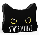 Stay Positive Funny Bathroom Acrylic Decor Sign Black Cat Decor Cat Decor for Home Bathroom Cat Lover Gifts For Women Men