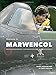 Welcome to Marwencol by Mark E. Hogancamp, Chris Shellen