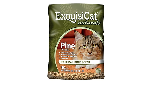 exquisicat pine