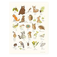 Sea Urchin Studio Alphabet Poster, Woodland Forest, 12" x 16"