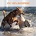 Petrainer PET916-2 Shock Collar for 2 Dogs 100% Waterproof Electric Dog Shock Collar with Remote Rechargeable Dog Training Collar with Beep Vibrating (10-100lbs)