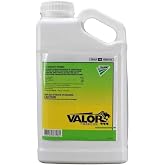 Valor&reg; SX Herbicide