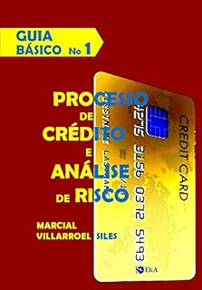 Livro GUIA BÁSICO Processo de Crédito e Análise de Risco (Análise do risco de crédito Livro 1)