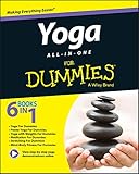 Yoga All-In-One For Dummies by Larry Payne, Georg Feuerstein