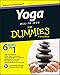 Yoga All-In-One For Dummies by Larry Payne, Georg Feuerstein
