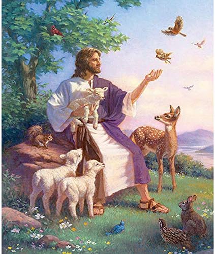Amazon Com Diy Oil Painting Paint By Number Kit Jesus And Animals 16x20 Inch Everything Else