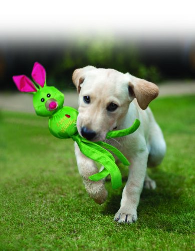 KONG Wubba Ballistic Friends Dog Toy, X-Large, Single toy/ Assorted