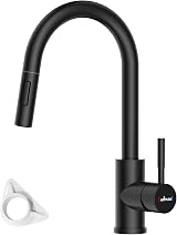 APPASO Black Kitchen Tap with Pull Out Spray 2 Modes 360° Swivel 304 Stainless