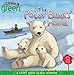 The Polar Bears' Home: A Story About Global Warming (Little Green Books)