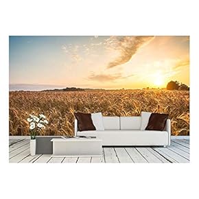 Golden Ears and Field of Wheat Ready to be harvested. This Photo Made in Hungary - Removable Wall Mural | Self-Adhesive Large Wallpaper - 66x96 inches